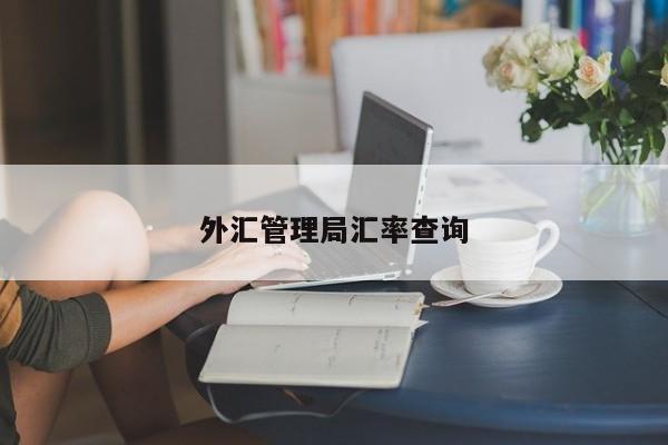 外汇管理局汇率查询